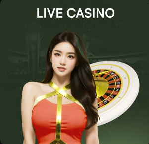 韦斯利：踢欧战是我的梦想，球员的职业生涯由这些赛事和奖杯铸就